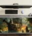 ARNA Pirates of the Caribbean inspired extended large mousepad and desk mat.